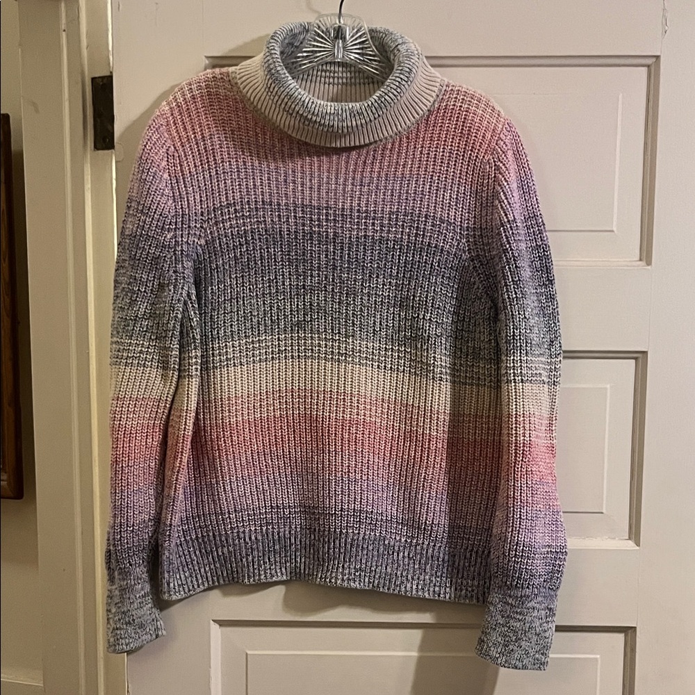 Multicolor Turtleneck Sweater